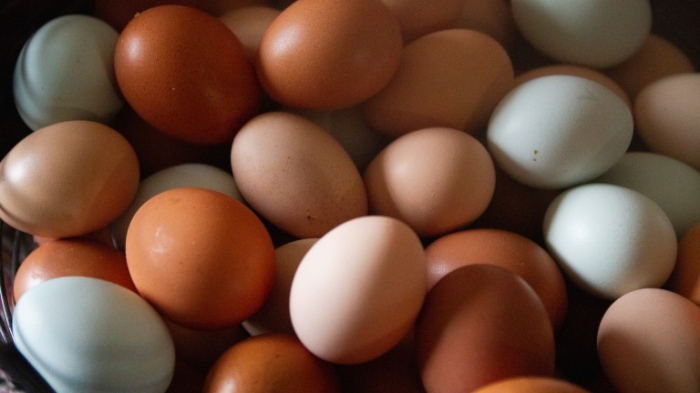 Цената на яйцата се вдига с около 15%